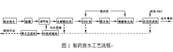 1752_1251077489139.jpg